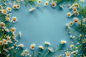 AI generated Spring camomile frame on blue background with copy space. Easter or springtime banner. AI Generated photo