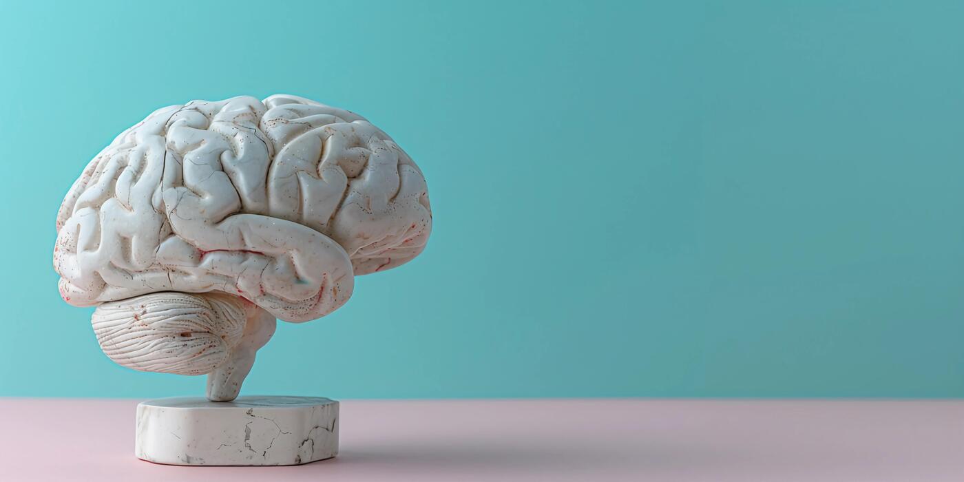Minimalist Brain Stock Photos, Images and Backgrounds for Free Download