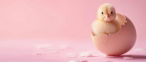 AI generated Cute chick sitting in cracked eggshell. Soft pastel pink Easter background. Copy space. AI Generated photo