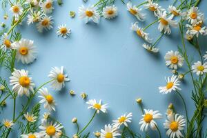 AI generated Flat lay of spring camomile create a frame on blue background with copy space. Easter or springtime wide-format banner. AI Generated photo