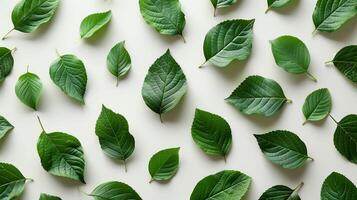 AI generated Top view green leaves pattern on white background. Wide-format banner. Earth Day. AI Generated photo