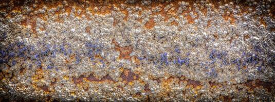 Background acorn barnacles attached to hull of rowboat photo