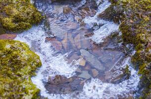 Selective focus. The Mountain stream with ice elements close-up photo