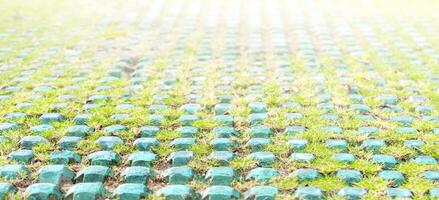 Metal square with grass for parking. Close-up. photo