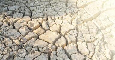 Dry cracked earth close up. Selective focus photo