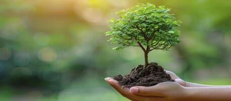 AI generated Earth Day. Female Hand Holding Tree Seedlings, Symbolizing Forest Conservation and Environmental Awareness Against a Bokeh Green Background of Natures Growth. photo