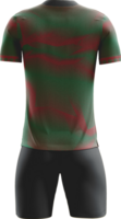 a soccer jersey with green and red stripes back view png