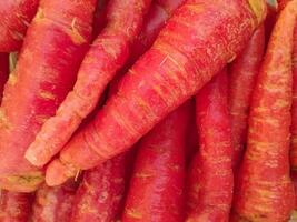 Carrot Vegetable. Fresh and Large red Carrots photo