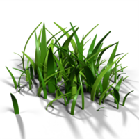 3D rendering of green grass. Nature grass cartoon. Green grass path isolated. 3D rendering illustration png