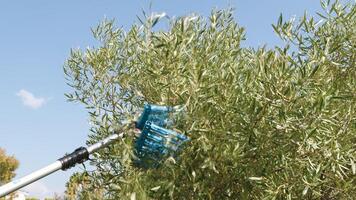 Pneumatic olive harvester photo
