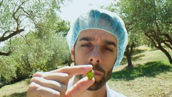 Agronomy scientist holding and looking at an olive for quality check photo