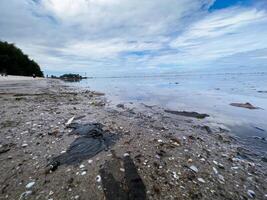 The view of the sea is beautiful, but unfortunately there is a lot of rubbish around the beach photo