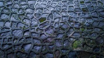 Texture of a stone wall. wet stone wall with moss growing on stone photo