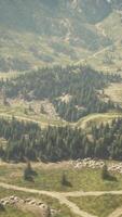 A scenic mountain road as seen from above video