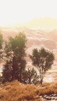un' panoramico paesaggio con alberi e montagne nel il sfondo video