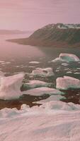 une étourdissant vue de icebergs flottant sur une serein corps de l'eau video