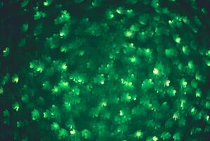 Abstract green background with clover highlights. Spring, summer background, st. Patricks day photo