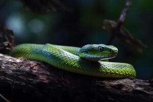 ai generado verde tropical serpiente. neural red ai generado foto