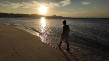 heiter Sonnenuntergang Strand Szene mit ein einsam Frau Gehen entlang das Ufer, reflektieren Ruhe und Entspannung, perfekt zum Urlaub und Reise Themen video