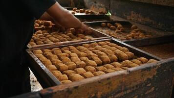 fried tofu factory. photo from the fried tofu manufacturing factory