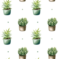 Succulent plant seamless pattern. Watercolor botanical backgrounds png