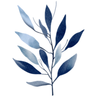 acuarela planta. azul color. delicado acuarela botánico elemento para Boda invitaciones, salvar el fecha, gracias tú, saludo tarjeta, póster. hojas elementos. png