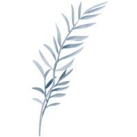 Watercolor plant. Blue color. Delicate watercolor botanical element for wedding invitations, save the date, thank you, greeting card, poster. Leaves elements. png