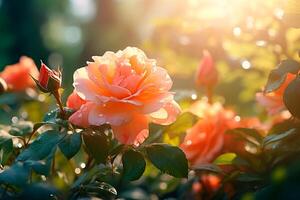 ai generado naranja rosas en el jardín de cerca, verano, antecedentes foto