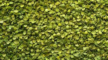 AI generated Green buckwheat background. Top view. Close-up. photo