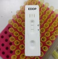rápido prueba casete para eddp o metadona metabolito prueba demostración positivo resultado. fármaco prueba. foto
