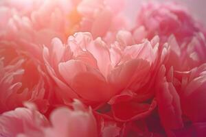 AI generated close up peony flowers background photo