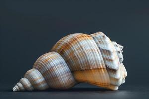 AI generated extreme macro shot of seashell photo