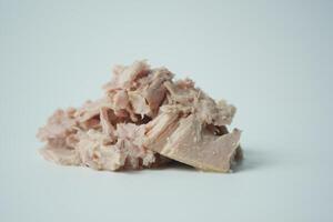 canned tuna on white background photo