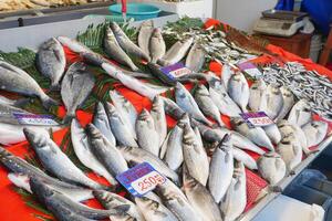 fresh fish in ice at local market shop photo