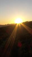 verticale vidéo de forêt à le coucher du soleil video