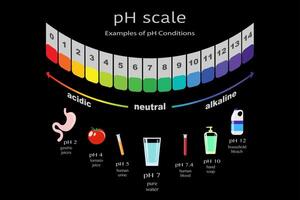 scale of ph value for acid and alkaline solutions, infographic acid-base balance. scale for chemical analysis acid base. Examples of pH conditions, vector illustration isolated or black background