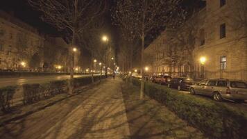 Budapest, Hungary - Walking in The City Street at Night Architecture Building video