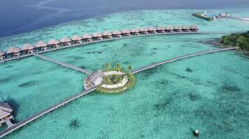 Villas on the water in the Maldives. Clear water on the beach. video