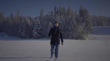 maschio persona a piedi nel in profondità neve guardare a singolo albero video