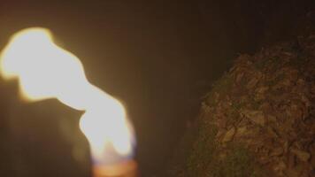 Person Holding Flaming Burning Torch Light In Stone Cave Forest At Night video