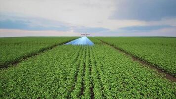 Agriculture drone using lidar scanning to spray fertilizer on the tomato fields, Innovation of smart farming concept video