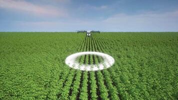 agricoltura fuco utilizzando lidar lettura per spray fertilizzante su il pomodoro campi, innovazione di inteligente agricoltura concetto video