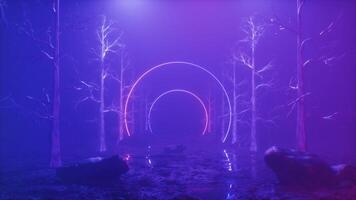 Dark Foggy Forest with Neon Glowing Frames Backdrop Loop video