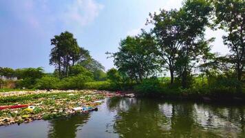 vuilnis belemmerend de vloeiende rivier- water - naar links video