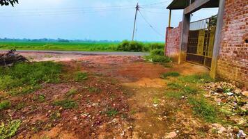 estrada perto a arroz campo video