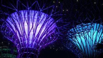 vertical view to the supertree modern architecture tree design with light illumination while on light showing performance at Garden by the Bay famous desination in Singapore video