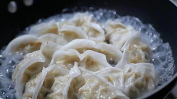 Close up of fried japanese gyoza dumplings in fry pan in homemade style at kitchen,cooking japanese food lifestyle.Cooking homamade chinese dumpling fried gyoza video