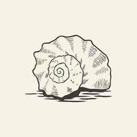 hand drawn sea snail shell vector