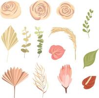 Elegant dry protea flower, tropic palm , eucalyptus, dried tropical leaves, floral elements. Vector isolated illustration set