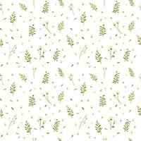 Botanical seamless pattern hand drawn. White background with delicate flowers and leaves. vector